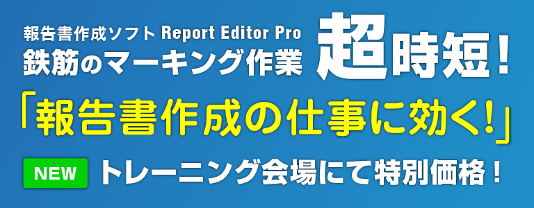 Report Editor Pro EAP
